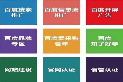 案例分享：SEM托管助力品牌推广
